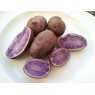 408852-aardappels-blue-gold