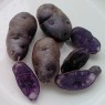 408861-aardappels-maori-blau