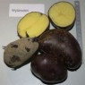 408910-aardappels-wylanderi