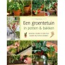 812718-een-groentetuin-in-potten-bakken