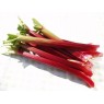 832750-rabarber-red-champagne-champagne-early-hawke-champagne