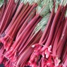 832755-rabarber-sutton-seedless