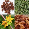 832810-sarsaparilla-indische