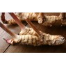 833040-thaise-gember-laos