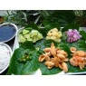 833980-vietnamese-bladpeper