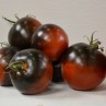 291166-pingpongtomaat-blue-chocolate-chocolate-cherry