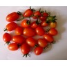 291185-olijftomaatje-cheery-f1-np-26