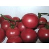 291186-kerstomaat-cherry-brandywine-brandywine-sherry