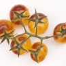 291191-kerstomaat-cream-berries