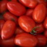 291972-roma-tomaat-iris