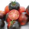293425-middenmaat-tomaat-indigo-apple