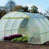 845365-foliekas-pro-serre