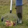 846180-vruchtenverzamelaar-voor-noten-fruit