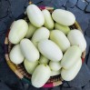 124052-komkommer-dragon-egg