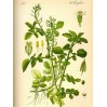 370000-witte-waterkers-aqua