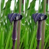 574694-arisaema-concinnum