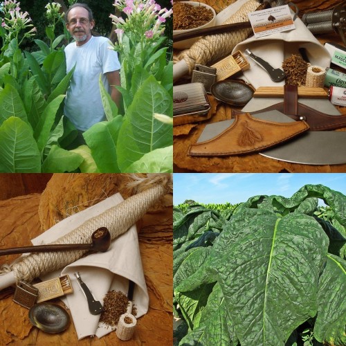 tobacco heart rate Tobacco | What We Do
