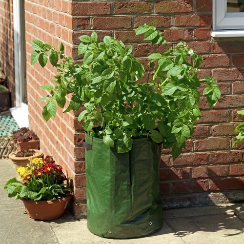 Relaxdays kweekzak, set van 3, met luikje, plantzak voor aardappelen, groente, Hx: 35 x 30 cm, groeizak vlies, zwart