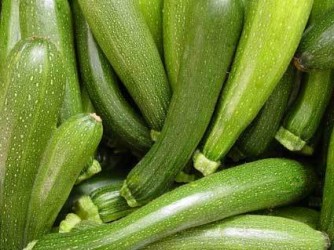 Courgette Verte des Maraîchers