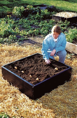 Upyard Stepped Bed Modern Verhoogd Bloembed Van Pallets Modulair Meertraps Natuurlijk Hout Voor Tuin En Terras 120 X 80 58 5 753384208