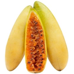 Passievrucht, Bananen 'Mollissima'