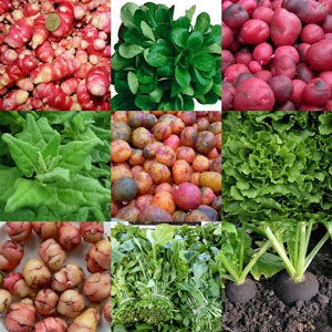 Oca- en Ullucoknolletjes
