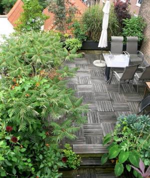 Dakterras tuin