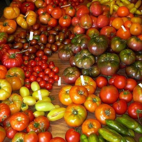 Verschillende soorten tomaten