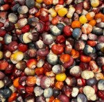 Who plants sweetly gets tomatoes red and round, who is naughty harvests a plant that barely emerges from the ground.