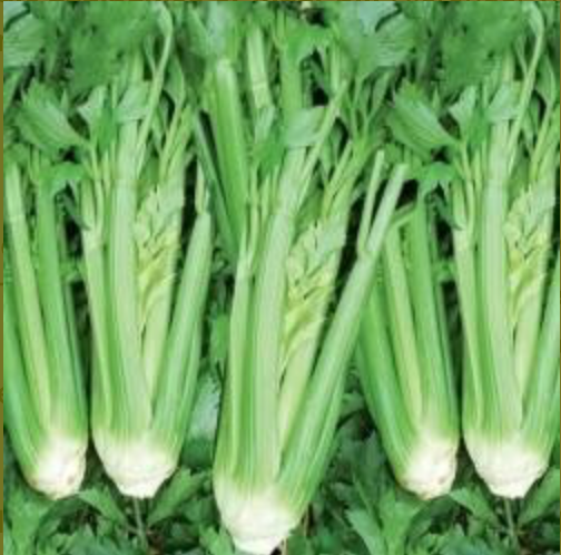 The start of the sowing season has arrived