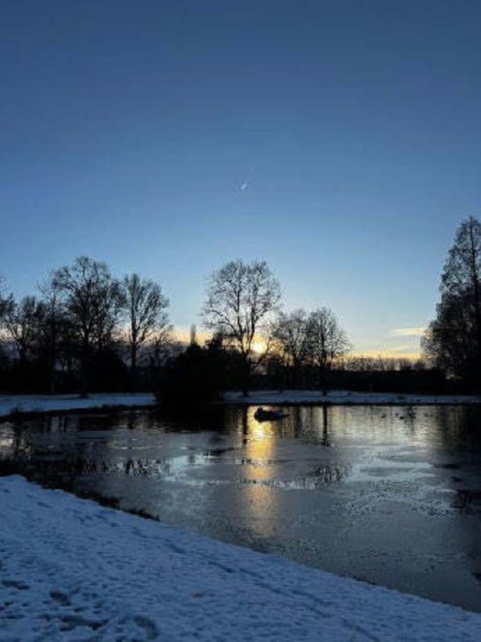Welcome to the winter wonderland — and oh yeah, 2026! | Vreeken's Zaden