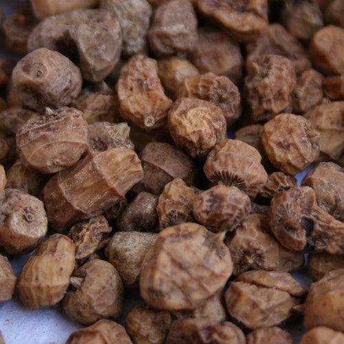Aardamandel 'Nutty Portuguese' / 'Riesen Aus Ghana'