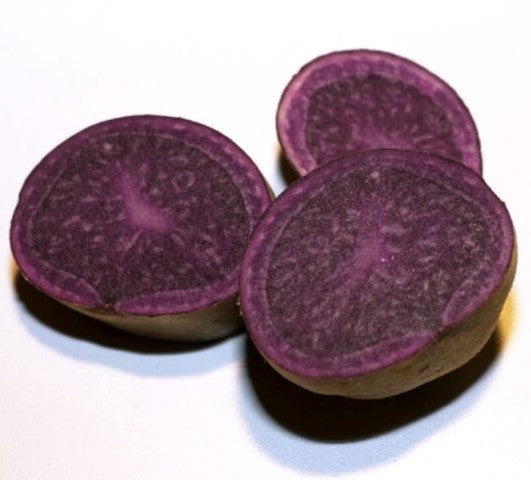 Aardappel ‘Blaue Anneliese’
