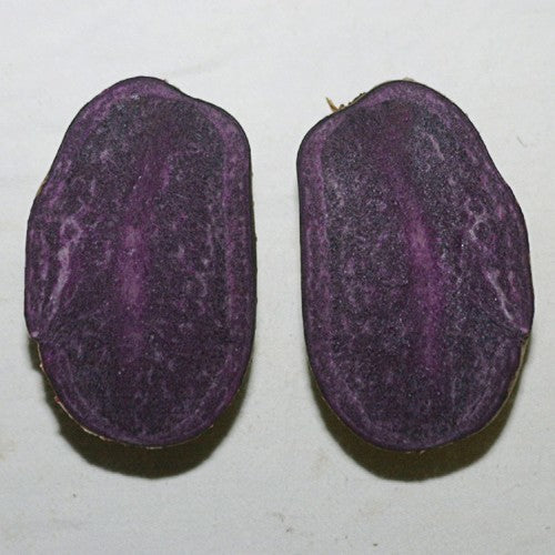 Aardappel ‘Blaue Anneliese’
