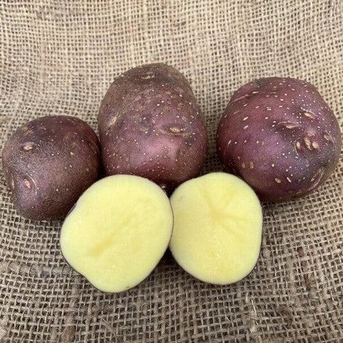 Aardappel 'Freeka'