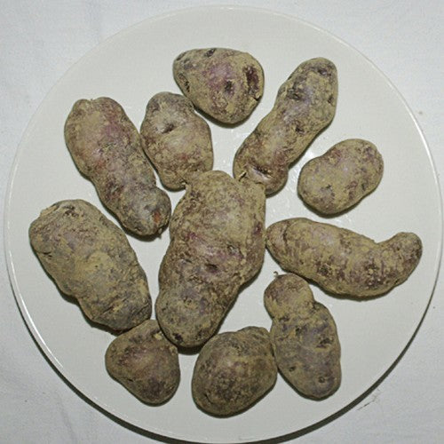 Aardappel ‘Blaue Bristen’