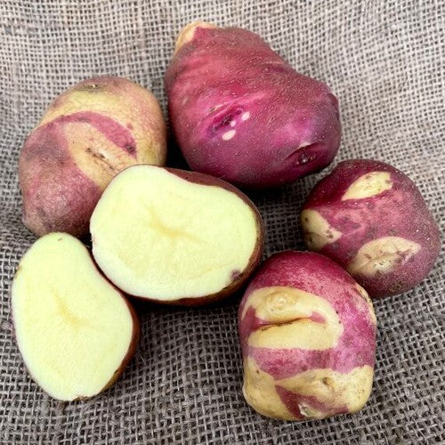 Aardappel 'Red Eyes'