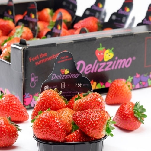 Jaarrond Aardbei 'Delizzimo' F1