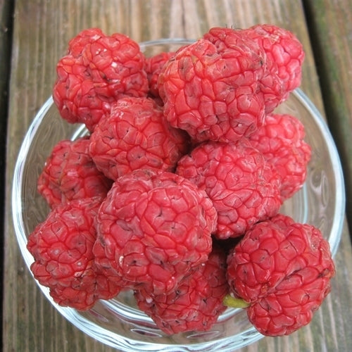 Aardbeiboom, Chinese
