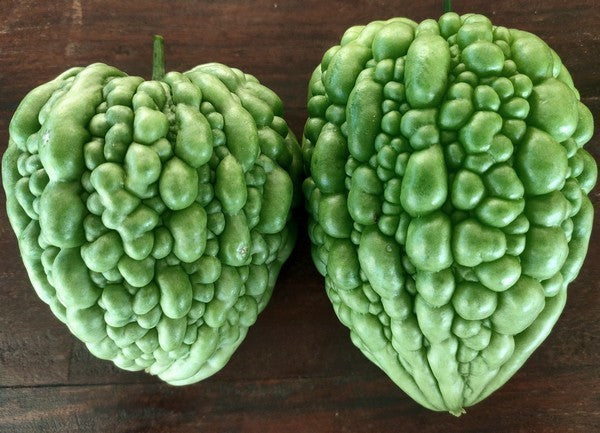Alsempeer 'Big Top' / 'Fiona' F1