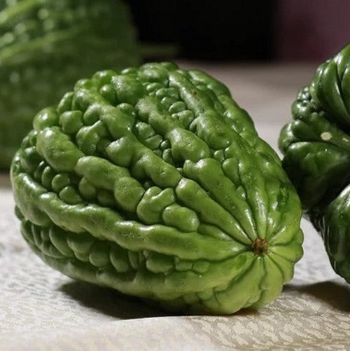 Alsempeer 'Big Top' / 'Fiona' F1