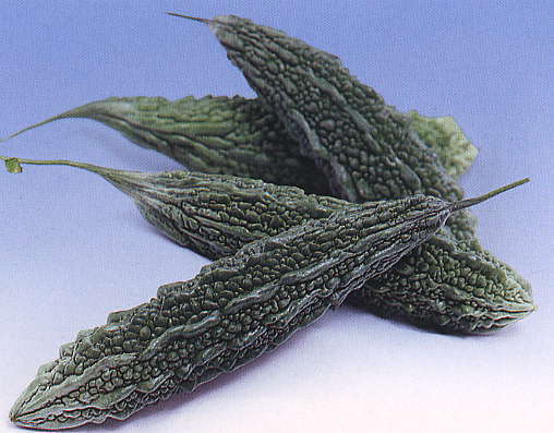 Bitter Melon, Karela-Type 'Palee' F1 / 'Ming Shine' F1 / 'Dark'