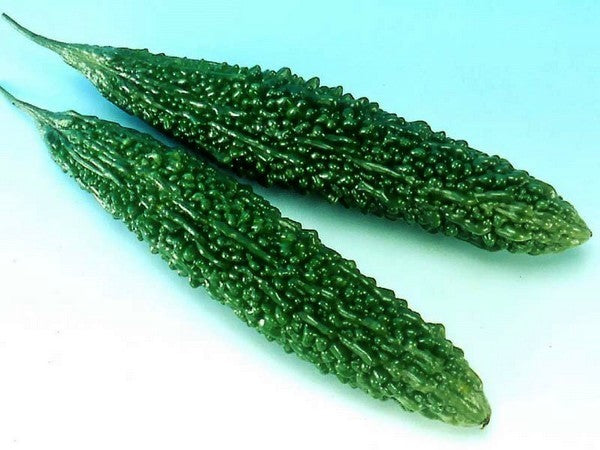 Bitter Melon, Karela-Type 'Palee' F1 / 'Ming Shine' F1 / 'Dark'