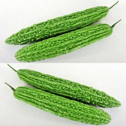 Chayote 'Torapi' F1 / 'KY Green' F1 / 'Jasper' F1 / 'Best 1'
