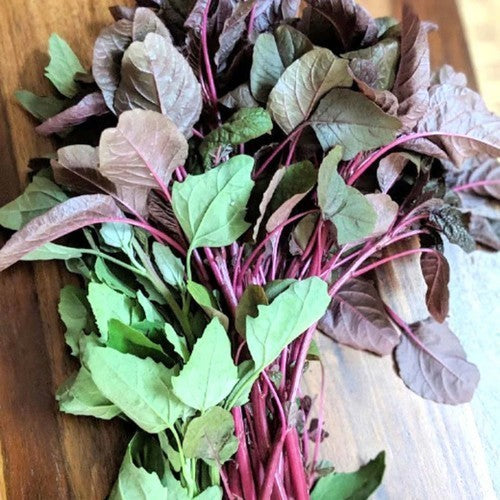 Amarantblad en -Koren 'Lieve Lust'
