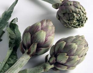 Artisjok 'Violet de Provence' / 'Violetto'