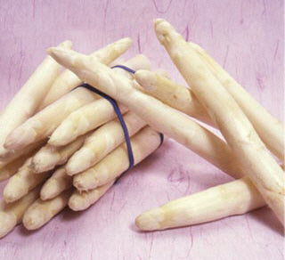 Asparagus 'Millennium' F1