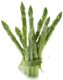 Asperge 'Mary Washington'
