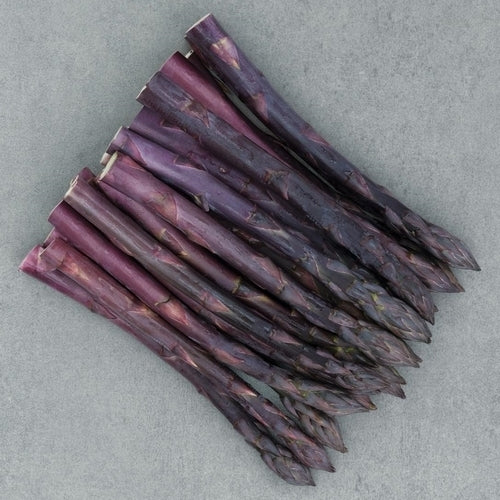Asperge 'Erasmus' F1