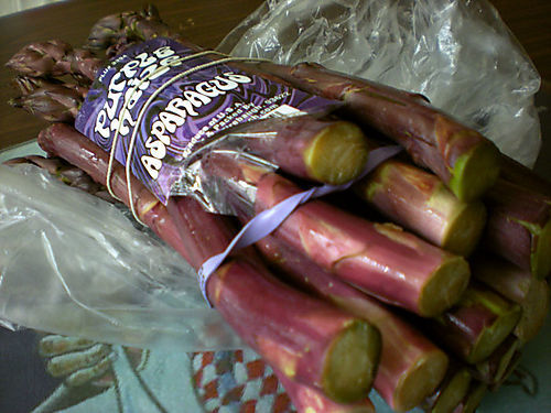 Asparagus 'Purple Passion'